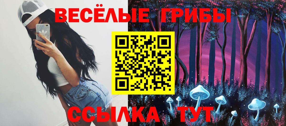 где продают   Вход с VPN  Чехов  Псилоцибиновые грибы ЛСД 
